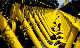 ofo 回應異?？圪M 抖音回應廣告業務被停 余額寶總規模達 1.8 萬億元